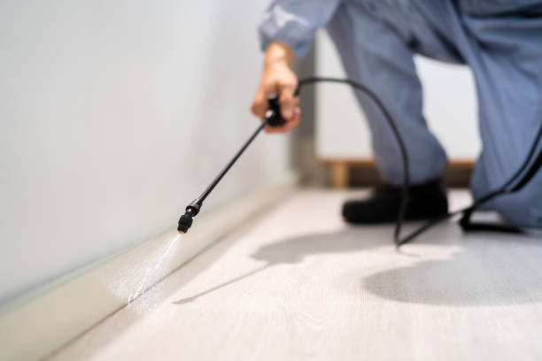 Licensed Termite Control service in Spring Hill, KS - Nex Pest Control
