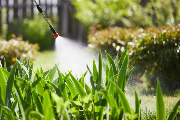 24/7 Emergency Termite Control experts in Spring Hill, KS