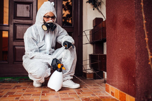 Reliable Termite Control contractor in Spring Hill, KS by Nex Pest Control