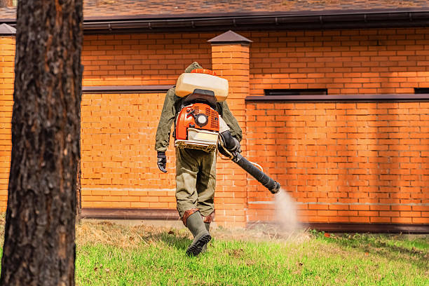Top rated local Termite Control specialists in Spring Hill, KS